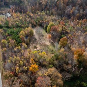 Photo #13 of 10406 Park Springs Rd, Ruffin, NC 8.7 acres