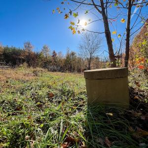 Photo #14 of 10406 Park Springs Rd, Ruffin, NC 8.7 acres