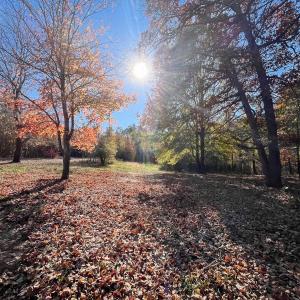 Photo #16 of 10406 Park Springs Rd, Ruffin, NC 8.7 acres