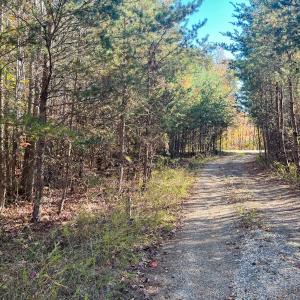 Photo #17 of 10406 Park Springs Rd, Ruffin, NC 8.7 acres