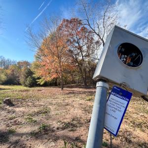 Photo #18 of 10406 Park Springs Rd, Ruffin, NC 8.7 acres