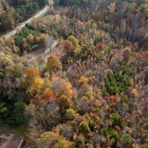 Photo #20 of 10406 Park Springs Rd, Ruffin, NC 8.7 acres