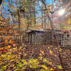 Photo #21 of 10406 Park Springs Rd, Ruffin, NC 8.7 acres