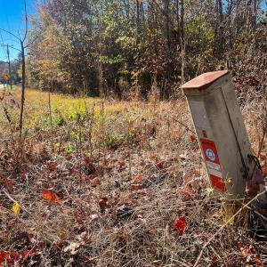 Photo #22 of 10406 Park Springs Rd, Ruffin, NC 8.7 acres