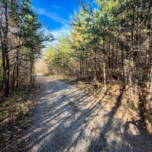 Photo #24 of 10406 Park Springs Rd, Ruffin, NC 8.7 acres