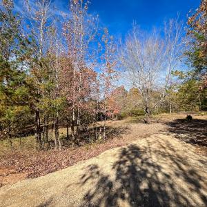 Photo #27 of 10406 Park Springs Rd, Ruffin, NC 8.7 acres