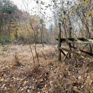 Photo #28 of 10406 Park Springs Rd, Ruffin, NC 8.7 acres