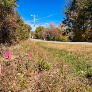 Photo #32 of 10406 Park Springs Rd, Ruffin, NC 8.7 acres