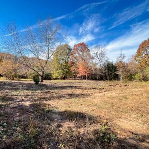 Photo #36 of 10406 Park Springs Rd, Ruffin, NC 8.7 acres