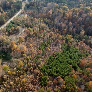 Photo #39 of 10406 Park Springs Rd, Ruffin, NC 8.7 acres