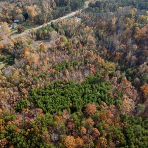 Photo #40 of 10406 Park Springs Rd, Ruffin, NC 8.7 acres