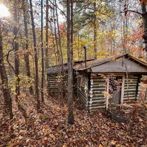 Photo #41 of 10406 Park Springs Rd, Ruffin, NC 8.7 acres