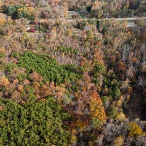 Photo #42 of 10406 Park Springs Rd, Ruffin, NC 8.7 acres