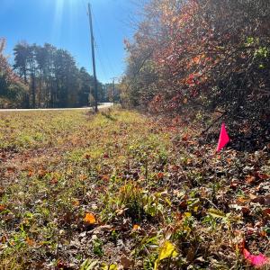 Photo #43 of 10406 Park Springs Rd, Ruffin, NC 8.7 acres