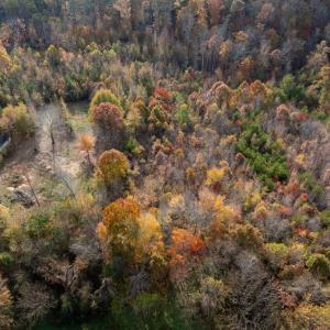 Photo #46 of 10406 Park Springs Rd, Ruffin, NC 8.7 acres