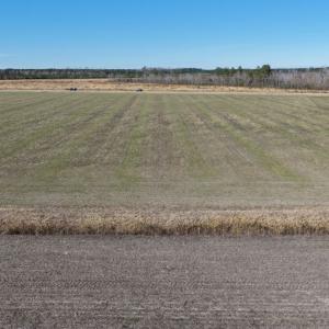 Photo #1 of  2044 NC 903 N, Stokes, NC 2.3 acres