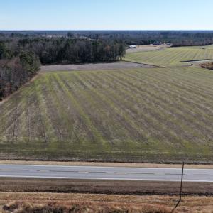 Photo #6 of  2044 NC 903 N, Stokes, NC 2.3 acres