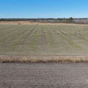Photo #1 of 2034 NC 903 N, Stokes, NC 2.6 acres