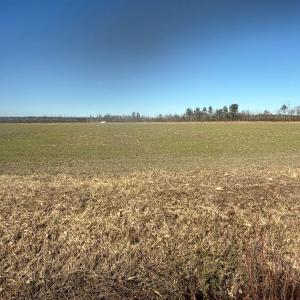 Photo #2 of 2034 NC 903 N, Stokes, NC 2.6 acres