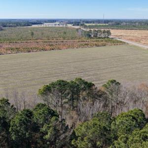 Photo #5 of 2034 NC 903 N, Stokes, NC 2.6 acres