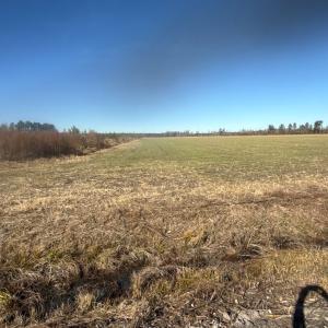 Photo #2 of 2020 NC 903 N, Stokes, NC 4.9 acres