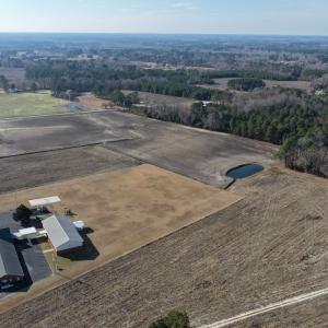 Photo #14 of Off NC 131 Hwy, Bladenboro, NC 20.2 acres