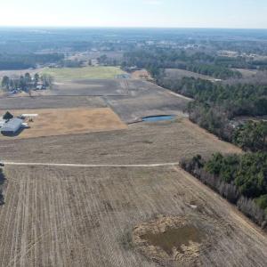 Photo #16 of Off NC 131 Hwy, Bladenboro, NC 20.2 acres