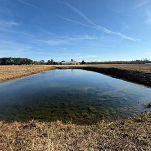 Photo #6 of Off NC 131 Hwy, Bladenboro, NC 20.2 acres