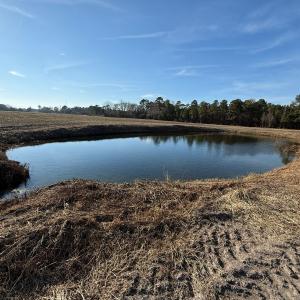 Photo #7 of Off NC 131 Hwy, Bladenboro, NC 20.2 acres