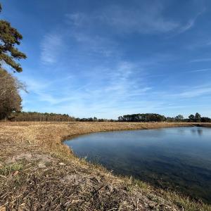 Photo #23 of Off NC 131 Hwy, Bladenboro, NC 20.2 acres