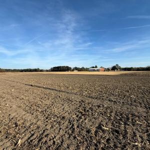 Photo #24 of Off NC 131 Hwy, Bladenboro, NC 20.2 acres