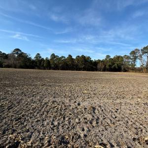 Photo #25 of Off NC 131 Hwy, Bladenboro, NC 20.2 acres