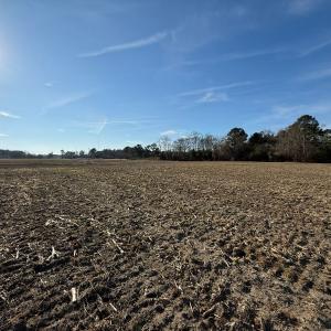 Photo #40 of Off NC 131 Hwy, Bladenboro, NC 20.2 acres