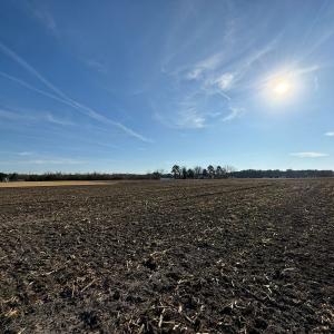 Photo #41 of Off NC 131 Hwy, Bladenboro, NC 20.2 acres