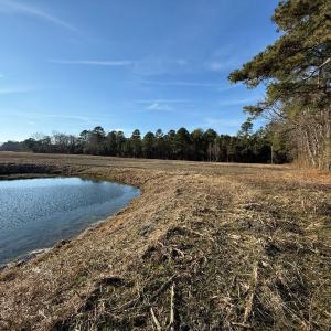 Photo #43 of Off NC 131 Hwy, Bladenboro, NC 20.2 acres