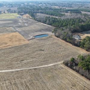 Photo #47 of Off NC 131 Hwy, Bladenboro, NC 20.2 acres