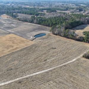 Photo #48 of Off NC 131 Hwy, Bladenboro, NC 20.2 acres