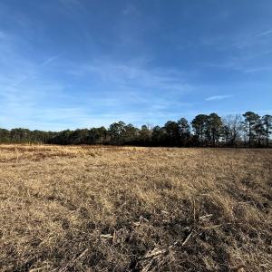 Photo #16 of Off Center Road, Bladenboro, NC 30.8 acres