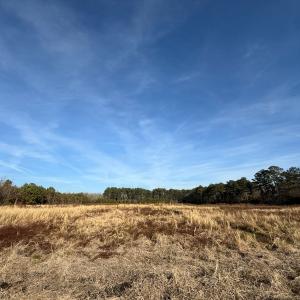 Photo #17 of Off Center Road, Bladenboro, NC 30.8 acres