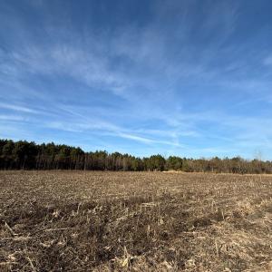 Photo #18 of Off Center Road, Bladenboro, NC 30.8 acres