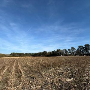 Photo #19 of Off Center Road, Bladenboro, NC 30.8 acres