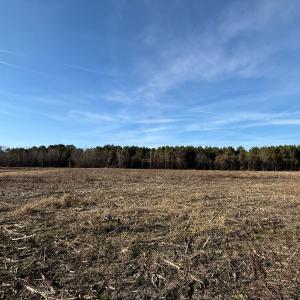 Photo #20 of Off Center Road, Bladenboro, NC 30.8 acres