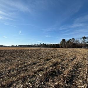 Photo #6 of Off Center Road, Bladenboro, NC 30.8 acres
