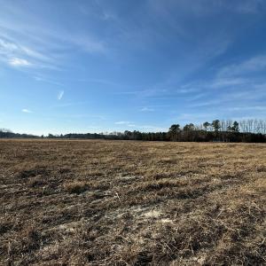 Photo #7 of Off Center Road, Bladenboro, NC 30.8 acres