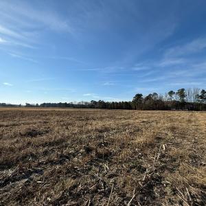 Photo #8 of Off Center Road, Bladenboro, NC 30.8 acres
