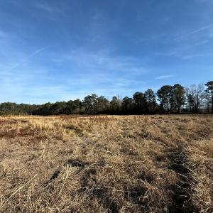 Photo #9 of Off Center Road, Bladenboro, NC 30.8 acres