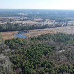 Photo #21 of Off Center Road, Bladenboro, NC 30.8 acres