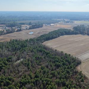 Photo #22 of Off Center Road, Bladenboro, NC 30.8 acres