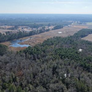 Photo #24 of Off Center Road, Bladenboro, NC 30.8 acres