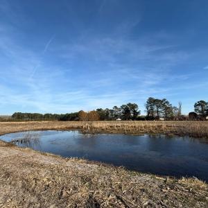 Photo #26 of Off Center Road, Bladenboro, NC 30.8 acres